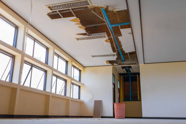 Best Water damage restoration specialists  in Ruch, OR