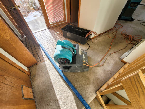 Best Water damage cleanup near me  in Ruch, OR