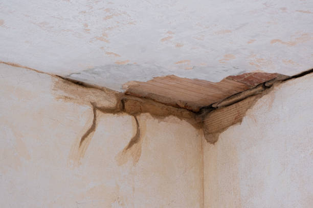 Best 24/7 water damage repair  in Ruch, OR