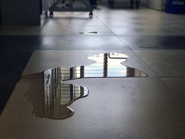 Best Professional water damage repair  in Ruch, OR