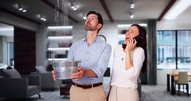Best Flooded house restoration  in Ruch, OR