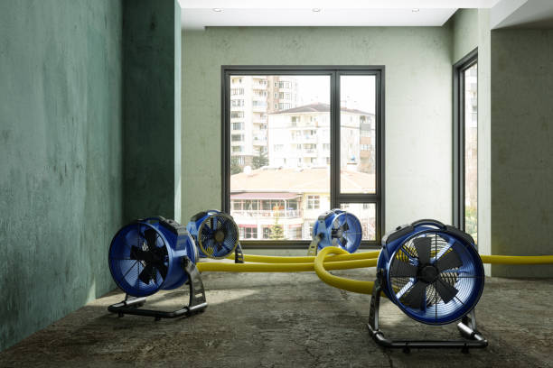 Water damage restoration process in Ruch, OR